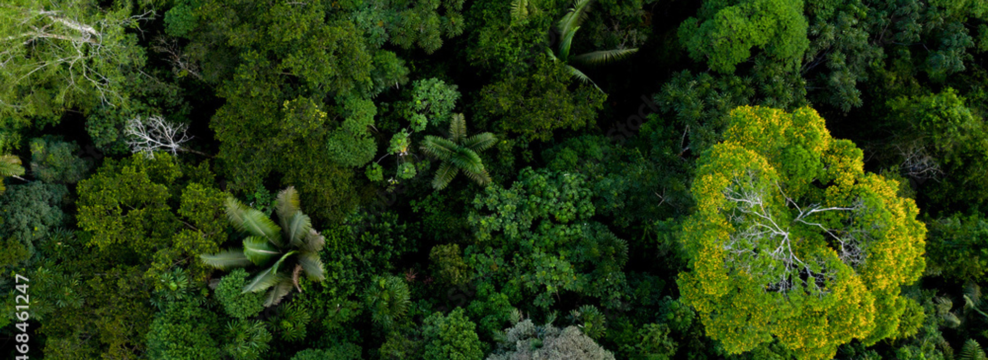 How do we integrate sustainability risks into our investment decisions