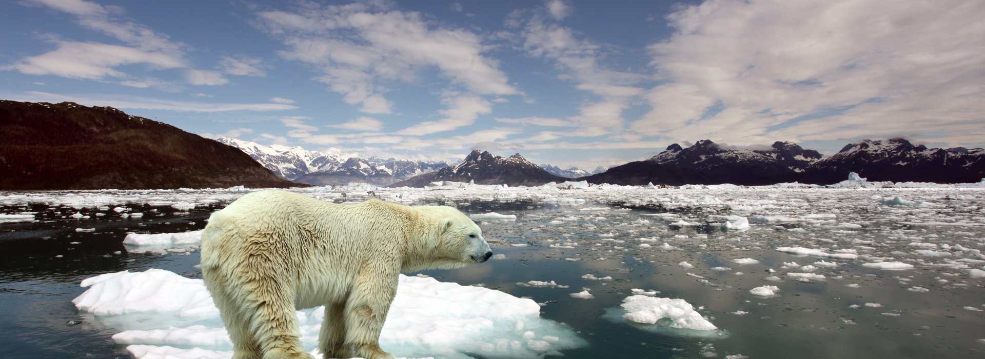 Climate-focused investing at a.s.r.
