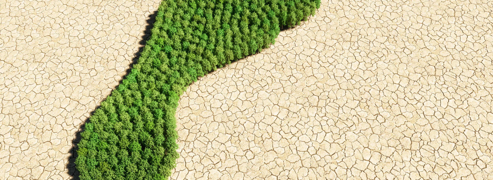  Climate jargon, what does it all mean?