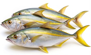 a.s.r. impact investing: sustainable fish
