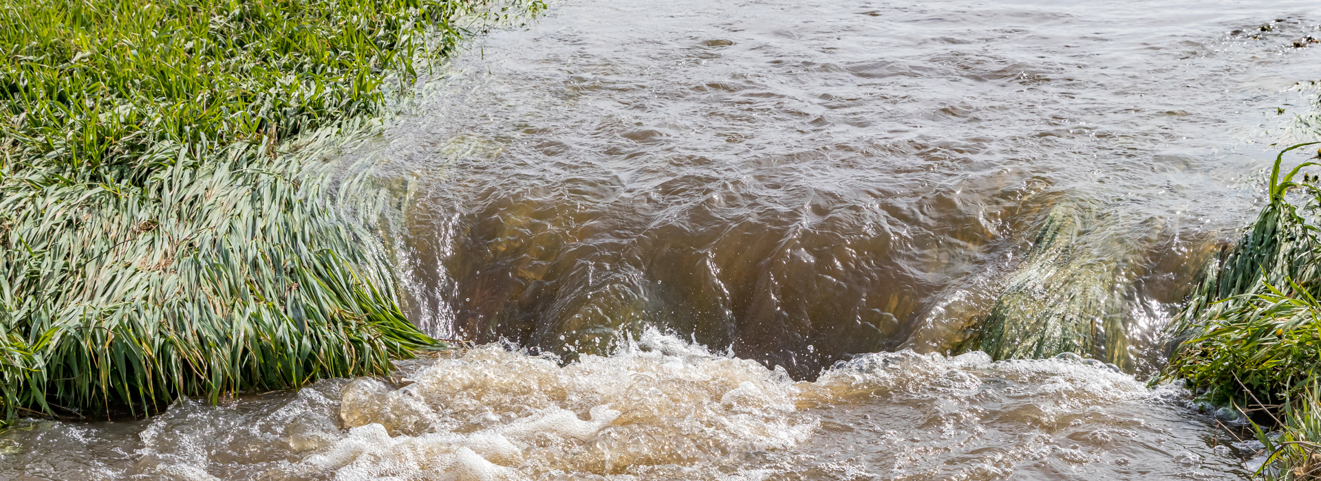 Water stress: a growing concern