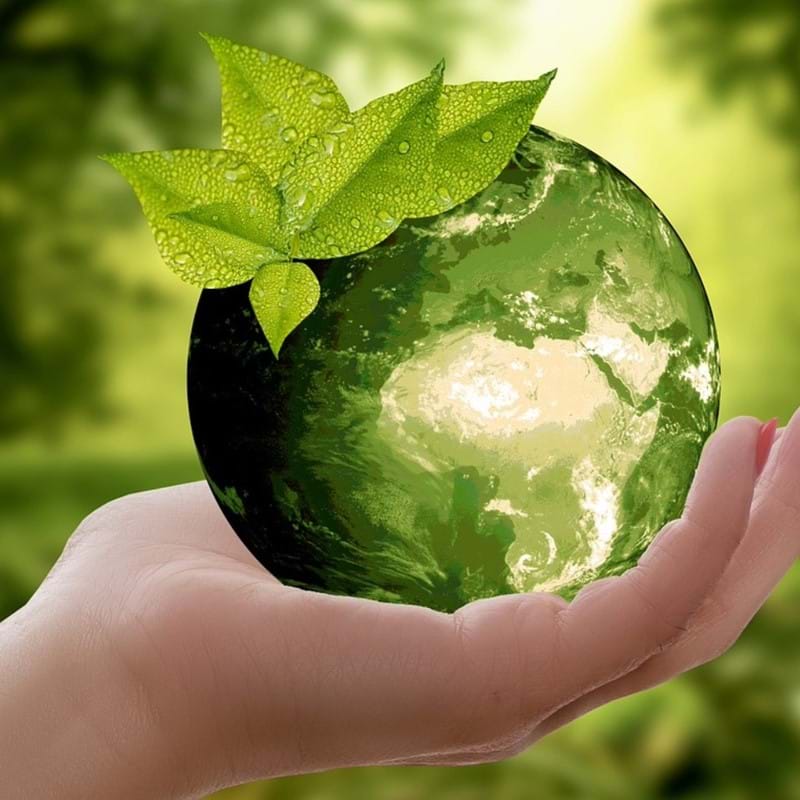 Afbeelding Duurzaam Q1 Rapport 2020 Groen
