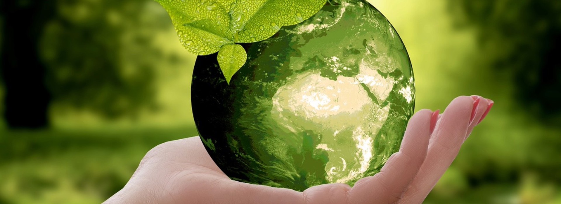 a.s.r. makes a positive contribution to energy transition