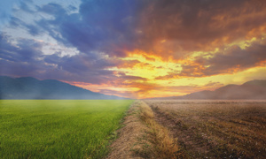 One of our 4 focus themes: climate change & energy transition