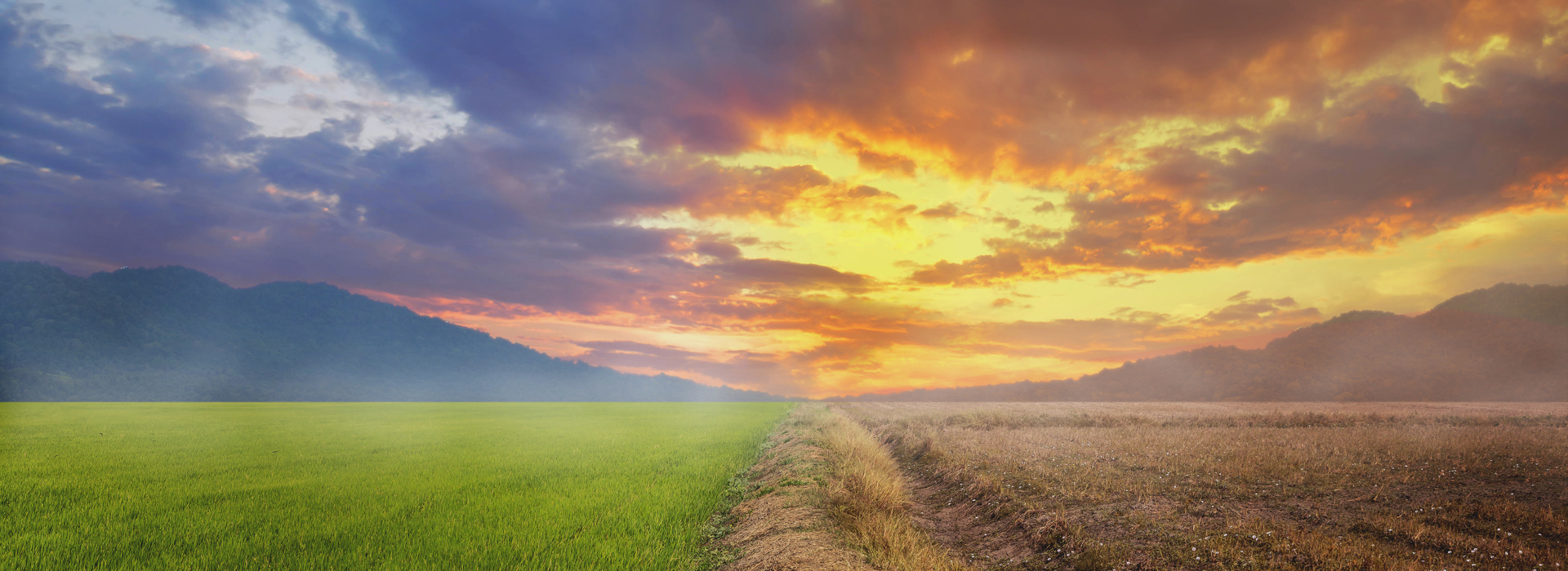 One of our 4 focus themes: climate change & energy transition
