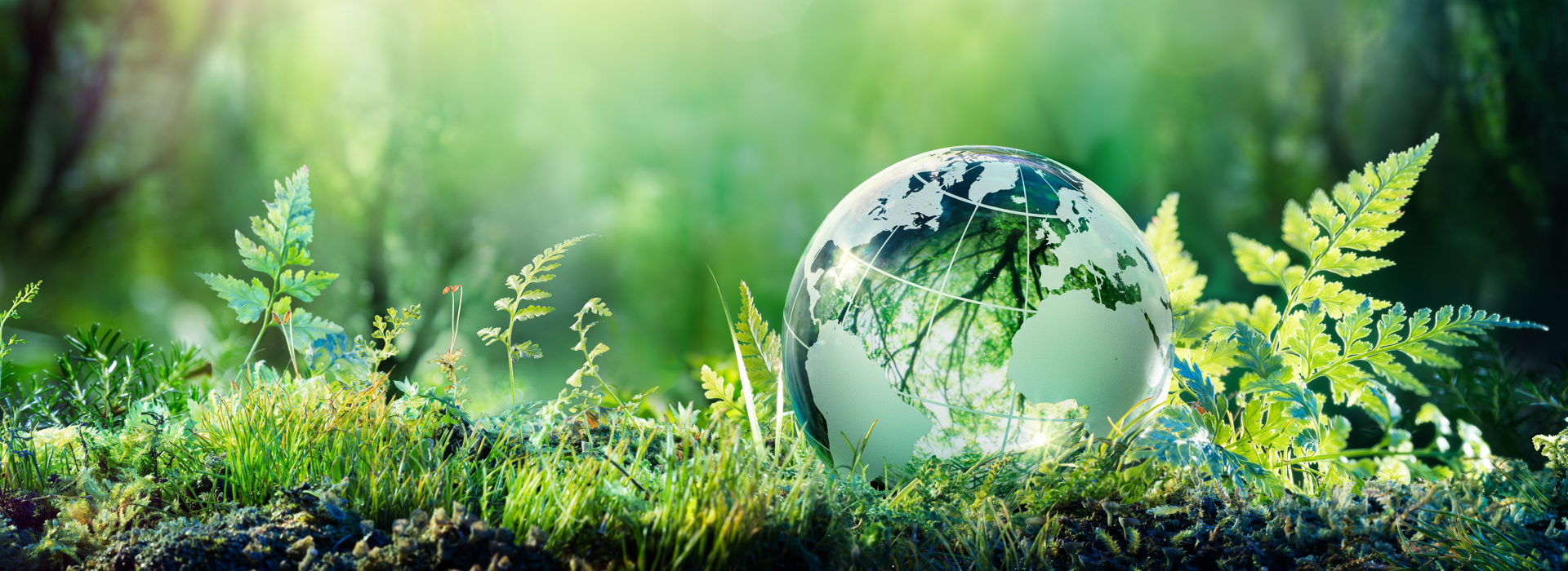 a.s.r. doubts the conclusions of Fair Money Guide on climate plans