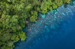 One of our 4 focus themes: biodiversity & natural resources