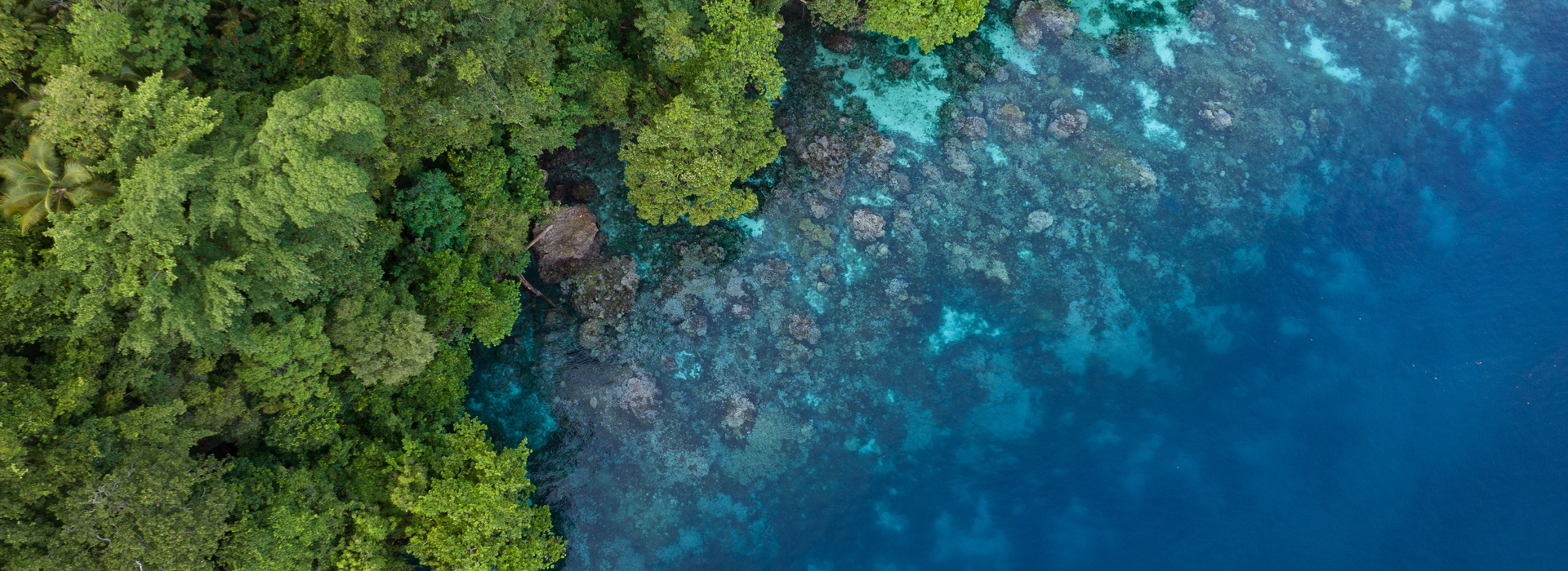 One of our 4 focus themes: biodiversity & natural resources