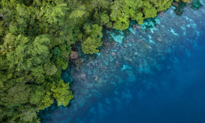 One of our 4 focus themes: biodiversity & natural resources