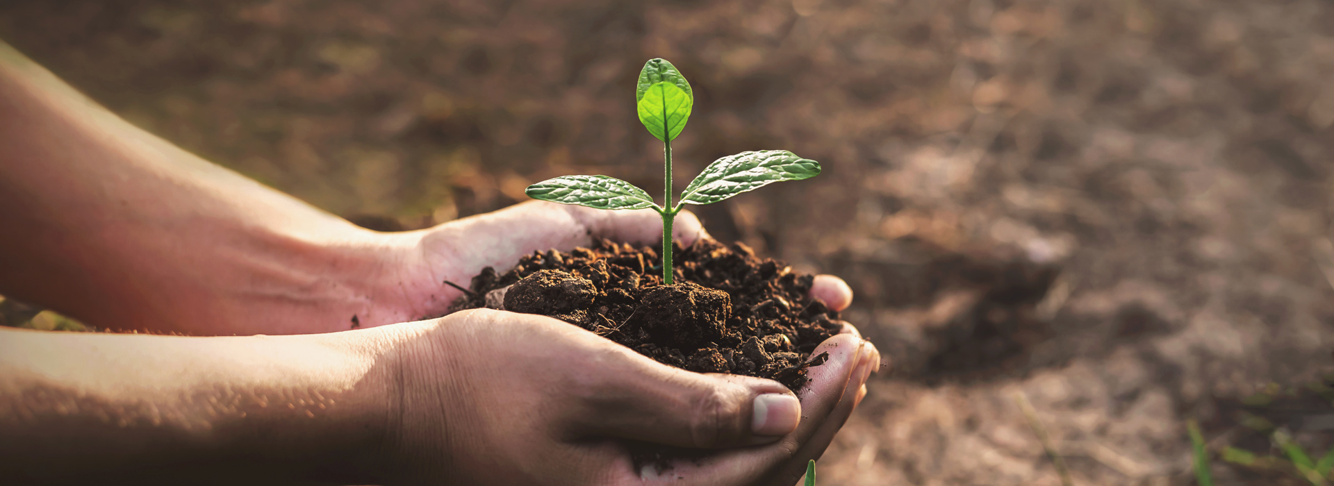 a.s.r. scores high in VBDO sustainability survey