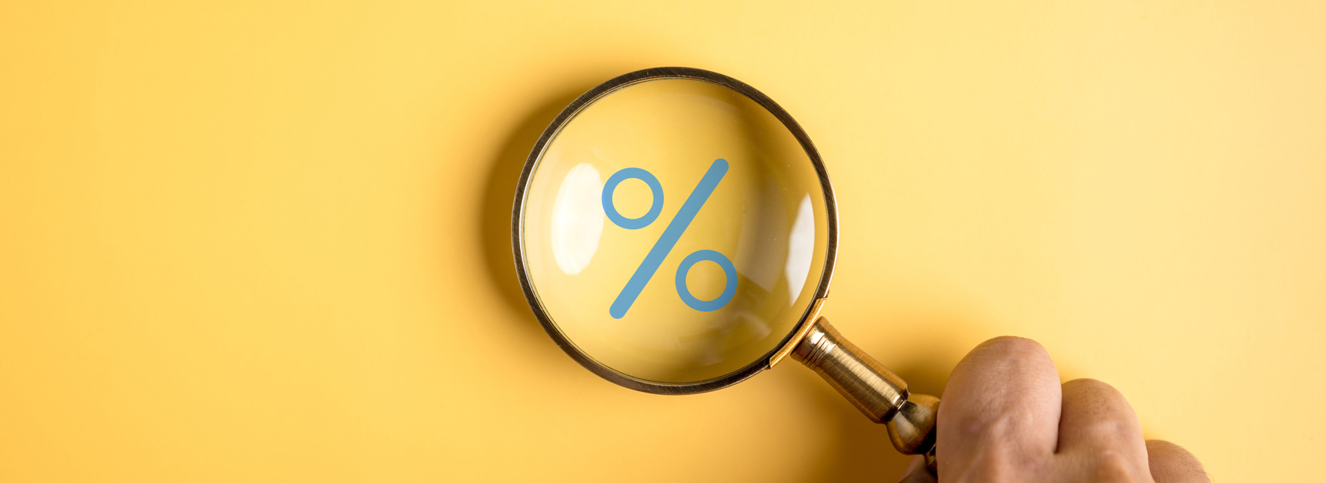 February 2024: equity markets continue their upward trend