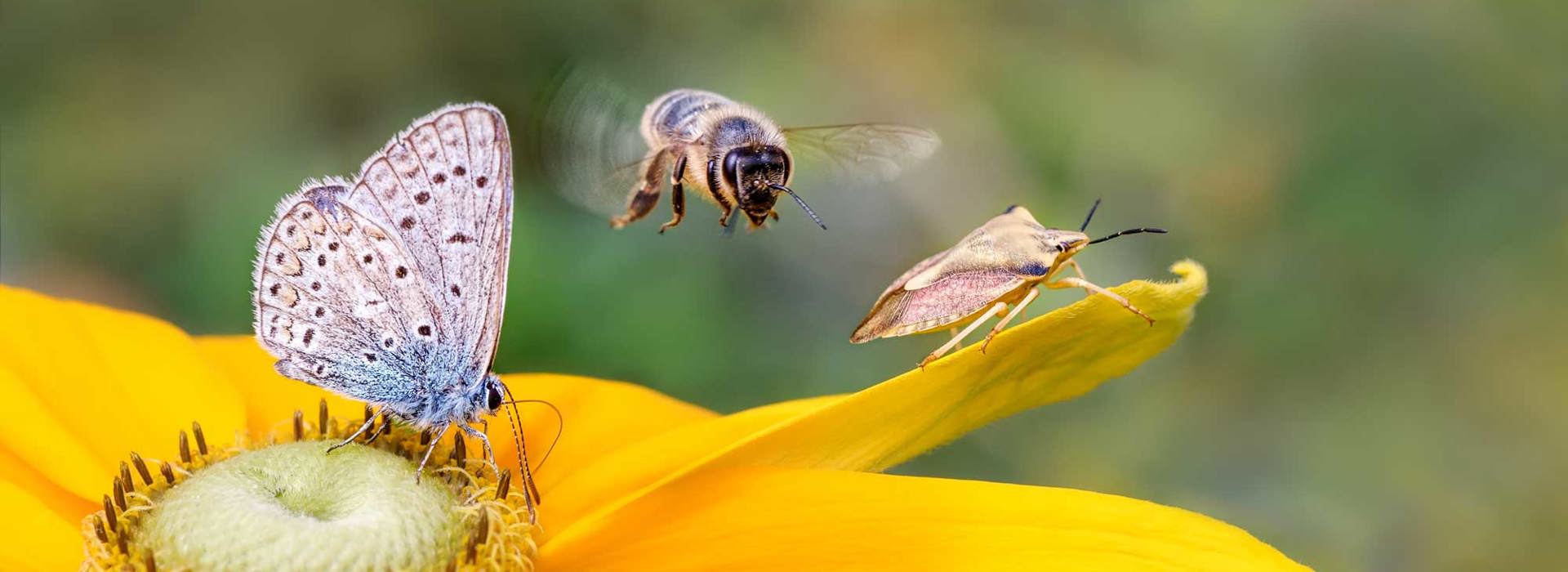 July 2021: a good start to the second half of the year